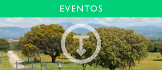 bot_menu_eventos_elgallinero